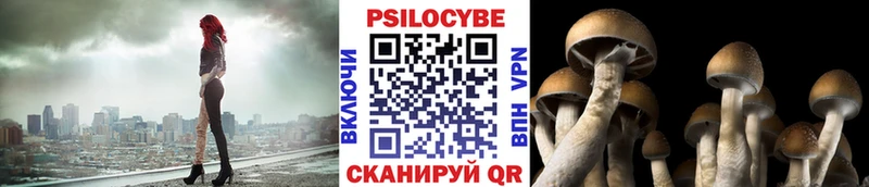 гидра ссылка  нарко площадка какой сайт  Галлюциногенные грибы Magic Shrooms  Бабушкин 